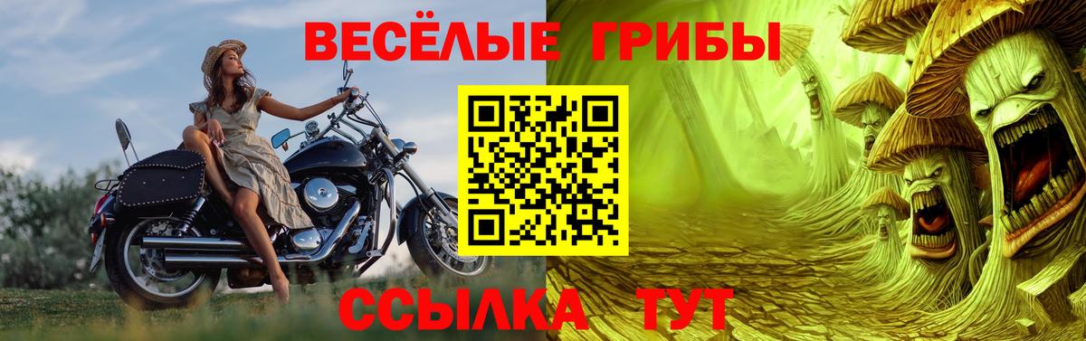 Белогорск  Галлюциногенные грибы мухоморы  Галлюциногенные грибы мухоморы  Вход с VPN 